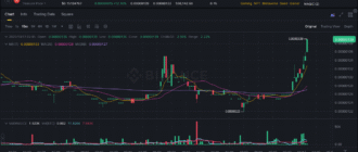 report 20251017 0254 - Report of coin pump on Binance (BTC pairs) - 17 October 2025