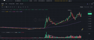 report 20251017 0928 - Report of coin pump on Binance - 17 October 2025