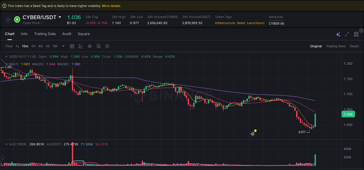 Crypto pump report: Dive into CYBER on Binance, 17 October 2025, 11:06 Crypto pump report: CYBER on Binance, 17 October 2025, 11:06