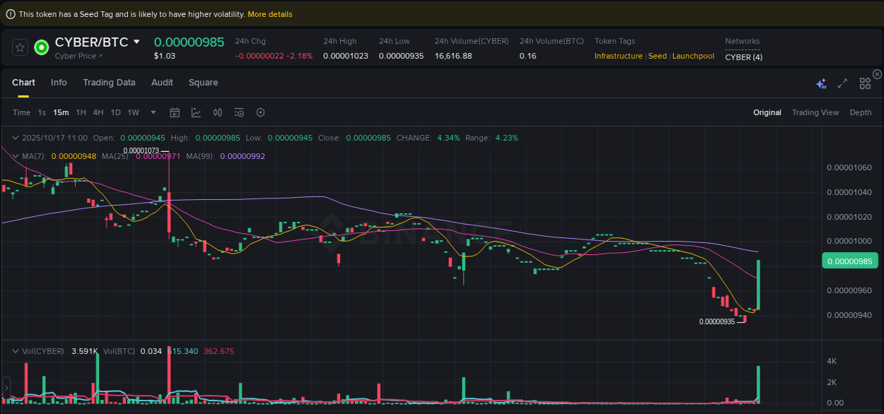 Detailed insights into CYBER's pump on Binance at 17 October 2025, 11:07 Detailed report of CYBER's pump on Binance at 17 October 2025, 11:07