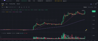 report 20251020 0042 - Report of coin pump on Binance - 20 October 2025