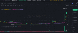 report 20251020 0101 1 - Report of coin pump on Binance (BTC pairs) - 20 October 2025