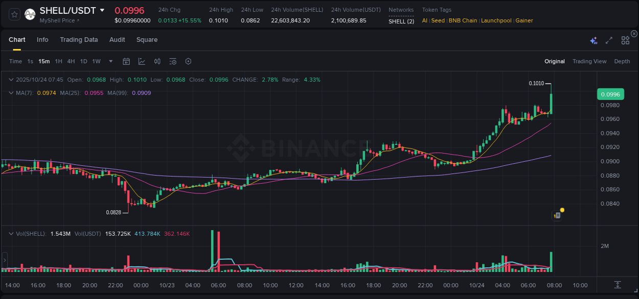 Binance exchange pump report for SHELL, 24 October 2025, 07:47 Binance exchange pump report for SHELL, 24 October 2025, 07:47