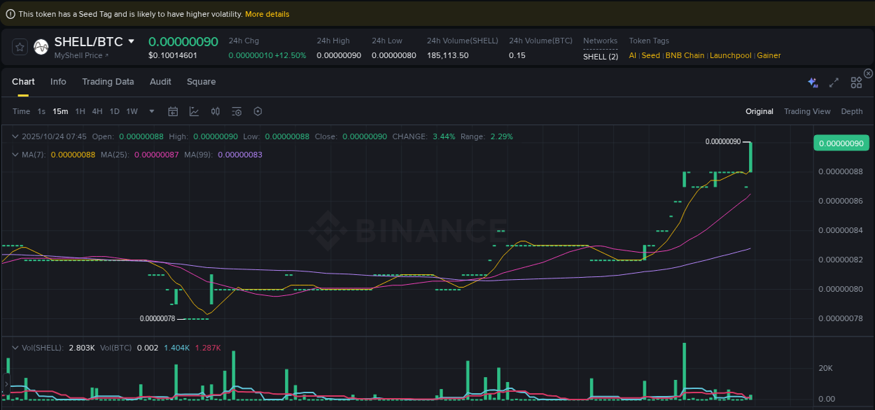 SHELL price surge report from Binance, timestamp: 24 October 2025, 07:47