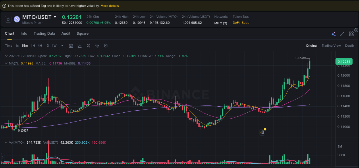 Gain insights into MITO's pump activity on Binance, 25 October 2025, 09:01 Detailed analysis of MITO's price surge on Binance, 25 October 2025, 09:01