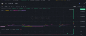 report 20251025 1809 - Report of coin pump on Binance (BTC pairs) - 25 October 2025