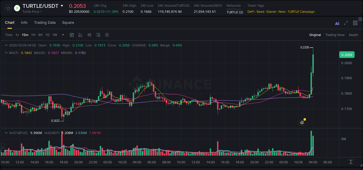 View the report of TURTLE pump on Binance at 26 October 2025, 04:06 Report of TURTLE pump on Binance at 26 October 2025, 04:06