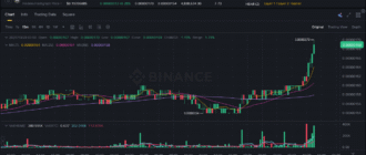 report 20251028 0305 - Report of coin pump on Binance (BTC pairs) - 28 October 2025