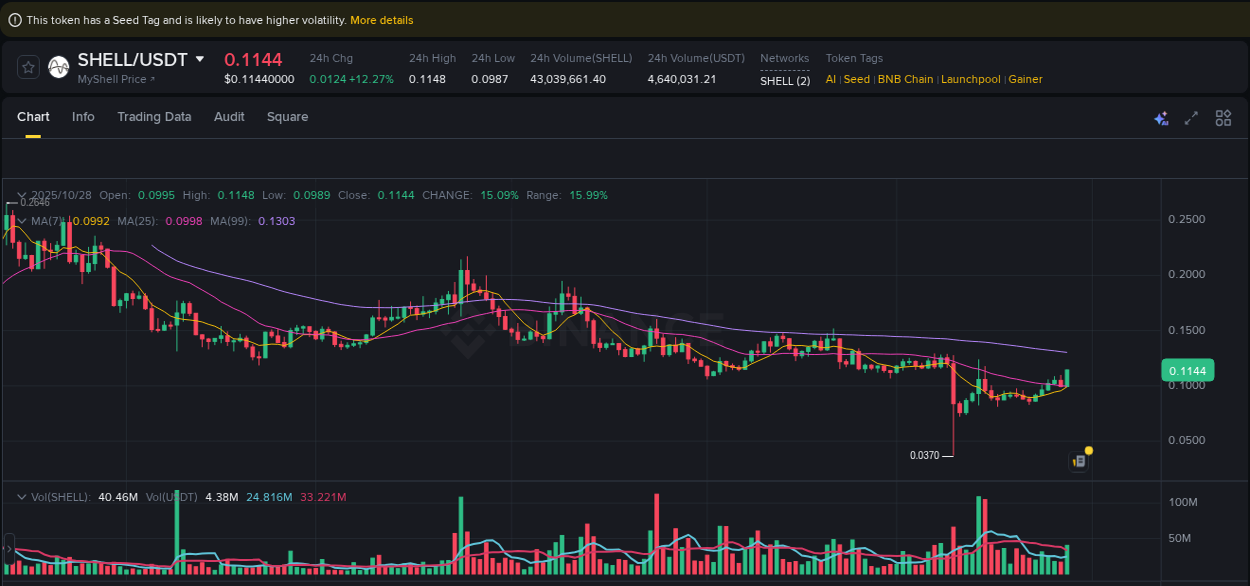 Binance trading data for SHELL pump, 28 October 2025, 20:05