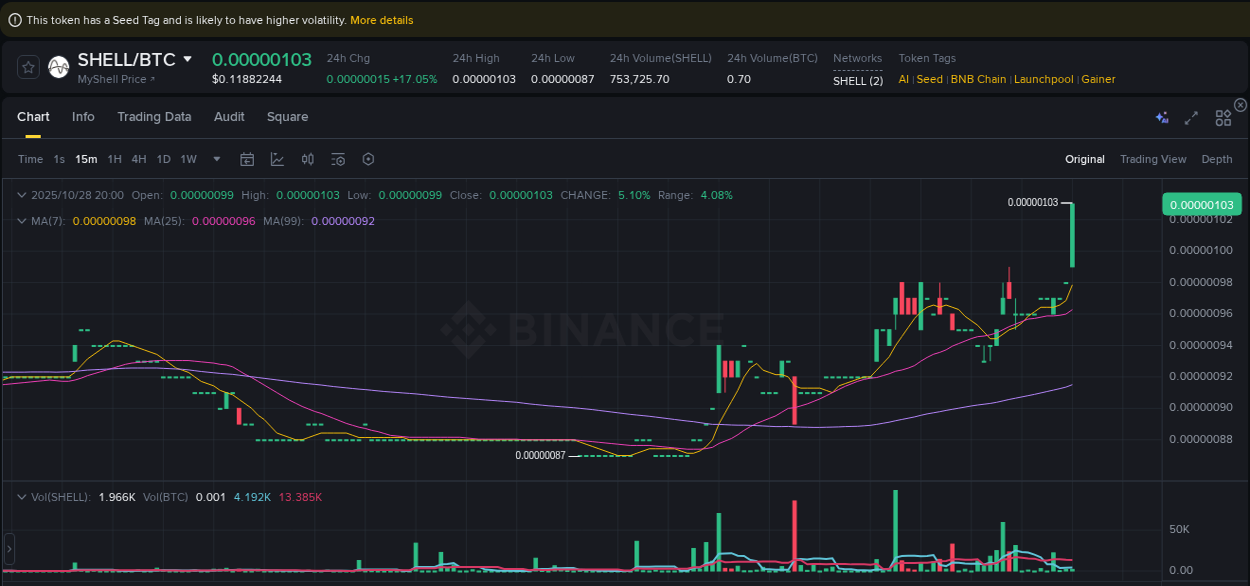 Binance pump overview for SHELL, captured at 28 October 2025, 20:08