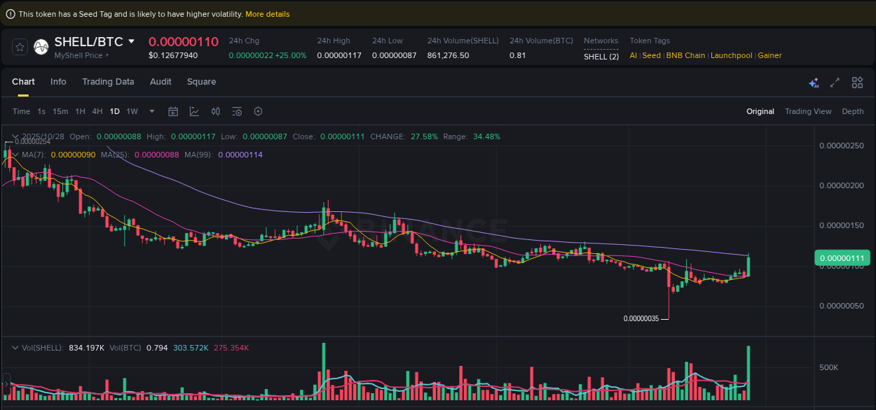 Crypto market report: SHELL pump on Binance, 28 October 2025, 20:16