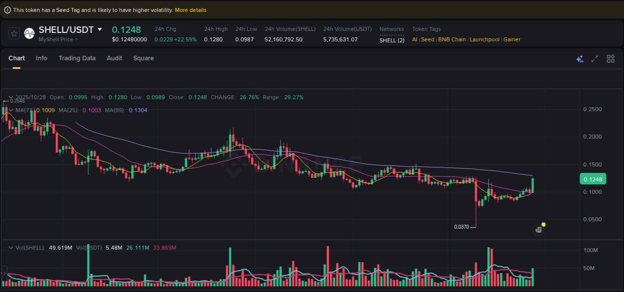 Trading data insight: SHELL pump report from Binance, 28 October 2025, 20:17