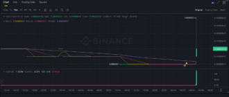report 20251029 0502 - Report of coin pump on Binance (BTC pairs) - 29 October 2025