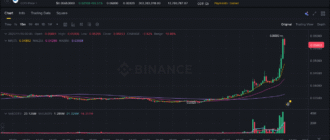 report 20251110 0040 1 - Report of coin pump on Binance - 10 November 2025