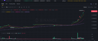report 20251116 0132 - Report of coin pump on Binance (BTC pairs) - 16 November 2025