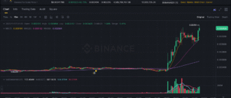 report 20251117 0108 - Report of coin pump on Binance - 17 November 2025
