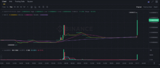 report 20251117 0207 - Report of coin pump on Binance (BTC pairs) - 17 November 2025