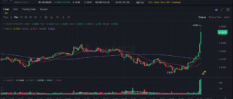 report 20251118 0821 - Report of coin pump on Binance - 18 November 2025