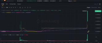 report 20251119 0219 - Report of coin pump on Binance (BTC pairs) - 19 November 2025