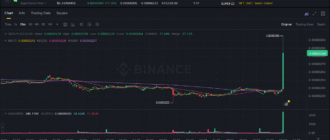 report 20251122 0208 - Report of coin pump on Binance (BTC pairs) - 22 November 2025