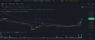 report 20251124 0950 - Report of coin pump on Binance (BTC pairs) - 24 November 2025