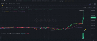 report 20251125 0213 - Report of coin pump on Binance - 25 November 2025