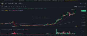 report 20251127 0134 - Report of coin pump on Binance - 27 November 2025
