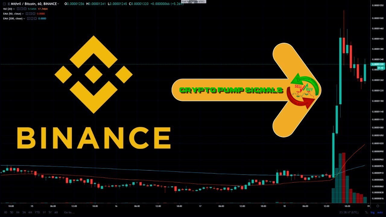 How to Catch Crypto Pumps Before Everyone Else on Binance 5 Trading signals about upcoming cryptocurrency pumps on the Binance exchange based on artificial intelligence forecasts Pump crypto Binance - How to Catch Crypto Pumps Before Everyone Else on Binance
