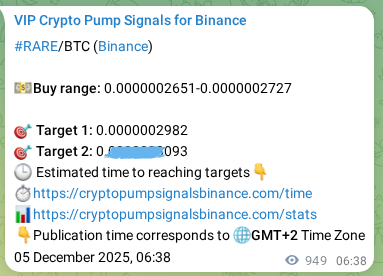 Explore the RARE pump signal verification from Binance, timestamp: 06 December 2025, 09:00 RARE pump signal verification from Binance, timestamp: 06 December 2025, 09:00