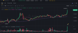 report 20251205 0225 - Report of coin pump on Binance (BTC pairs) - 05 December 2025