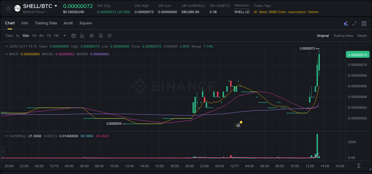 Check out the Binance pump report for SHELL on 11 December 2025, 13:20 Binance pump report for SHELL on 11 December 2025, 13:20