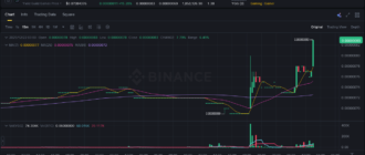 report 20251222 0313 - Report of coin pump on Binance (BTC pairs) - 22 December 2025