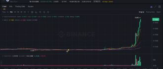 report 20251228 0056 - Report of coin pump on Binance - 28 December 2025
