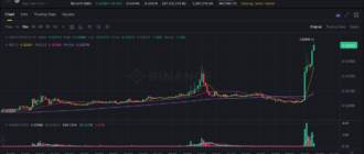 report 20251229 0316 - Report of coin pump on Binance - 29 December 2025