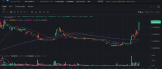 report 20251229 0906 - Report of coin pump on Binance (BTC pairs) - 29 December 2025