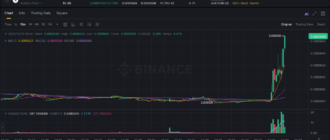 report 20251231 0401 1 - Report of coin pump on Binance (BTC pairs) - 31 December 2025