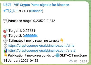 Confirm the trading signal for 币安人生 pump on Binance at 14 January 2026, 06:21 Trading signal confirmation: 币安人生 pump on Binance at 14 January 2026, 06:21