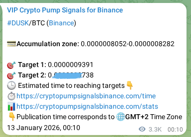 DUSK pump signal verification from Binance, timestamp: 16 January 2026, 20:05