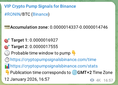RONIN pump signal verification from Binance, timestamp: 17 January 2026, 07:37