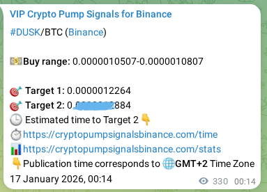 Authenticated proof of DUSK's pump signal on Binance at 17 January 2026, 09:09