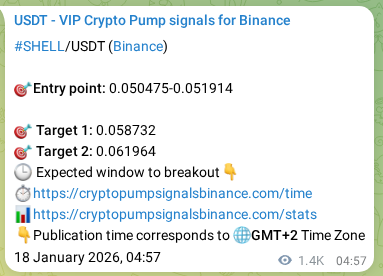 Trading signal confirmation: SHELL pump on Binance at 19 January 2026, 19:02