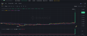 report 20260102 0211 - Report of coin pump on Binance - 02 January 2026
