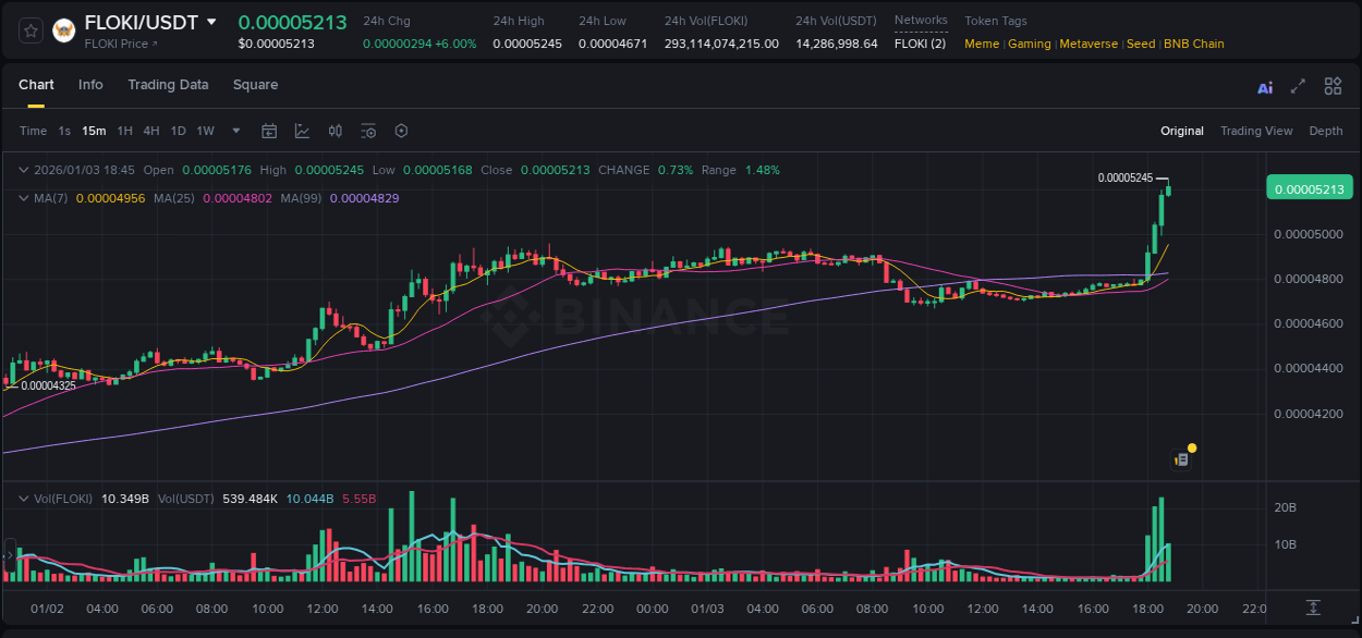 Discover the Binance pump data for FLOKI at 03 January 2026, 18:41 Binance pump overview for FLOKI, captured at 03 January 2026, 18:41