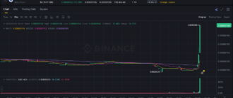 report 20260105 1441 - Report of coin pump on Binance (BTC pairs) - 05 January 2026