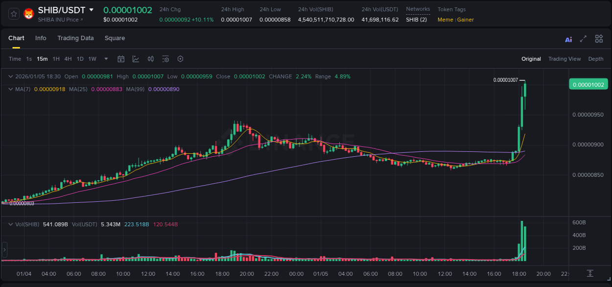 Binance pump overview for SHIB, captured at 05 January 2026, 18:35
