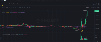 report 20260112 0503 - Report of coin pump on Binance - 12 January 2026