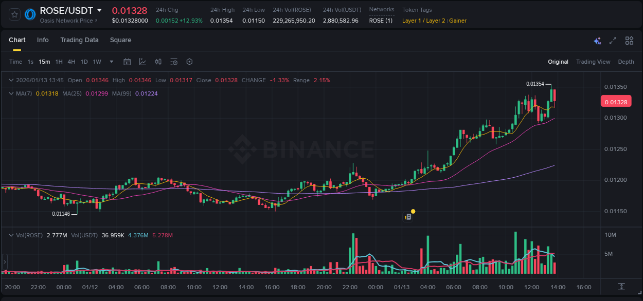 Market movement report: ROSE on Binance at 13 January 2026, 13:34