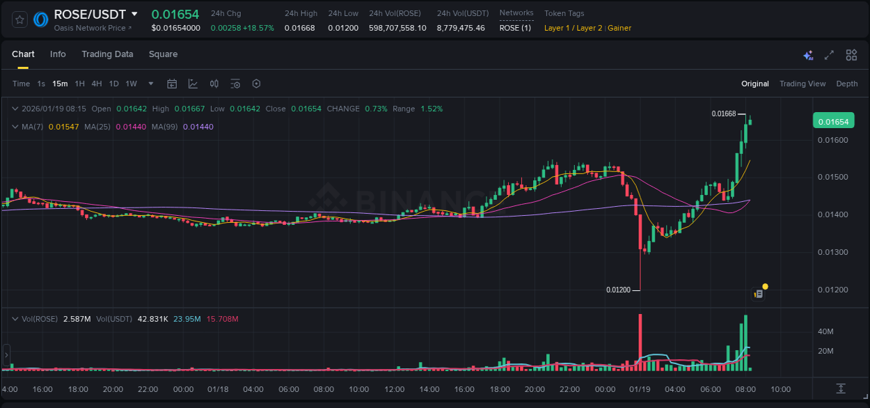 Trading insight: ROSE pump report from Binance, 19 January 2026, 07:59