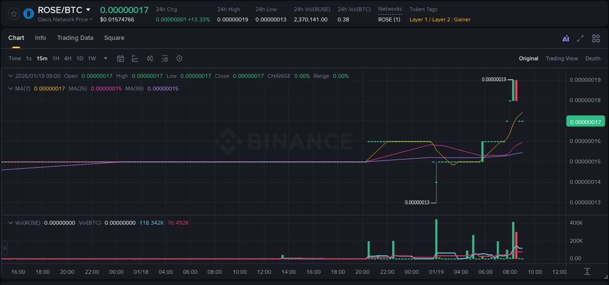 Real-time report of ROSE pump on Binance, 19 January 2026, 08:30