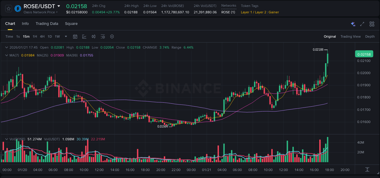 Report of ROSE pump on Binance at 21 January 2026, 17:53